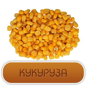 Кукурузы